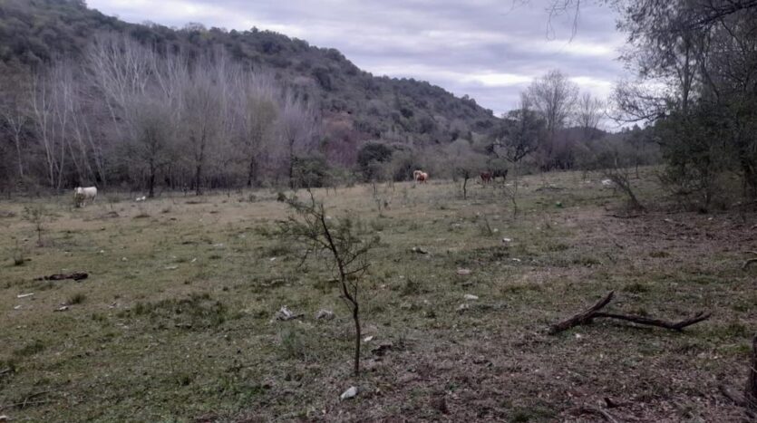 Campo en venta en Atos Pampa Calamuchita