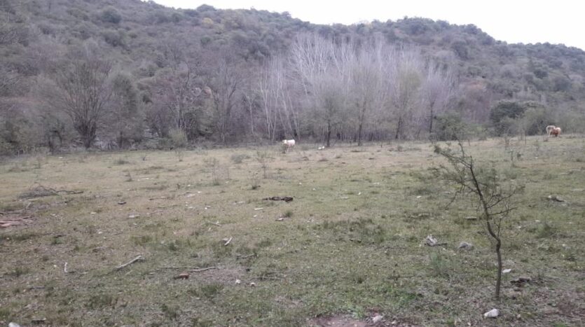 Campo en venta en Atos Pampa Calamuchita