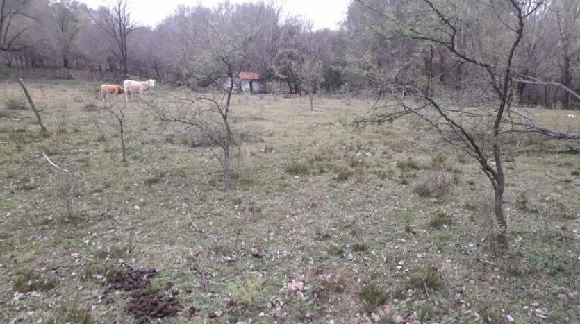 Campo en venta en Atos Pampa Calamuchita