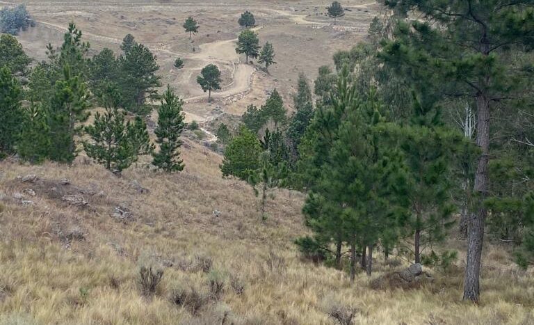 Campo en venta Sol de Mayo Calamuchita