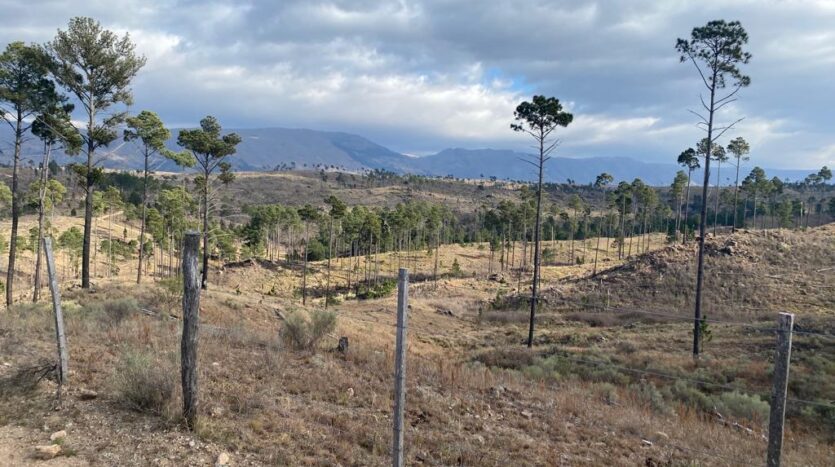 Campo en venta Sol de Mayo Calamuchita