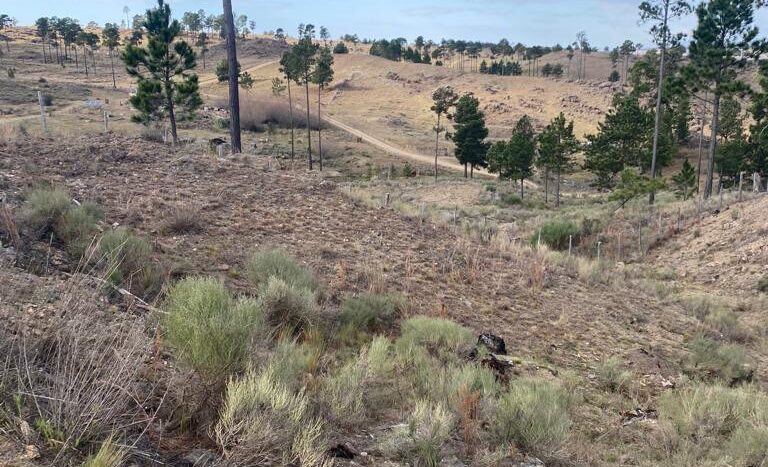 Campo en venta Sol de Mayo Calamuchita