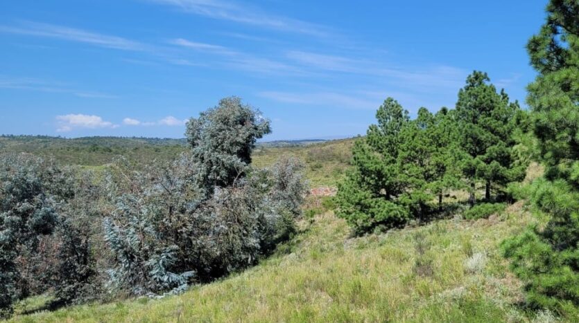 Venta 7 Hectáreas en Los Reartes más 2 cabañas