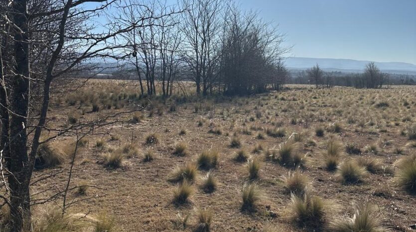 Campo de 6 has en venta en Los Reartes Berreaute Inmobiliaria