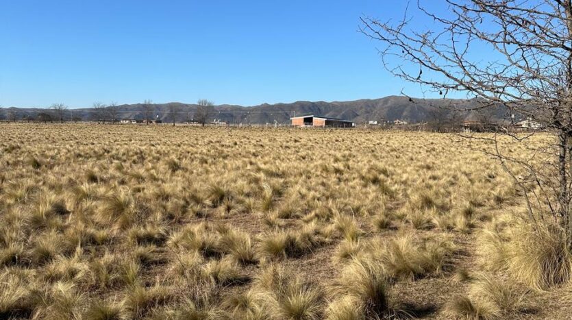 Campo de 6 has en venta en Los Reartes Berreaute Inmobiliaria