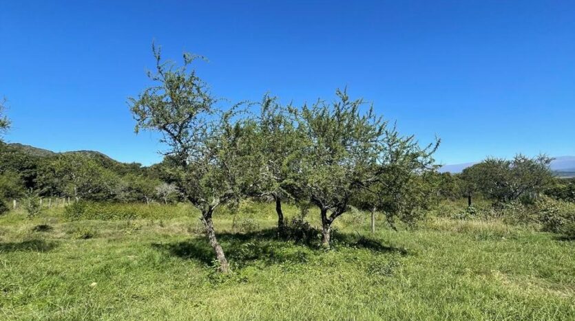 Lotes en venta Calamuchita ruta 5