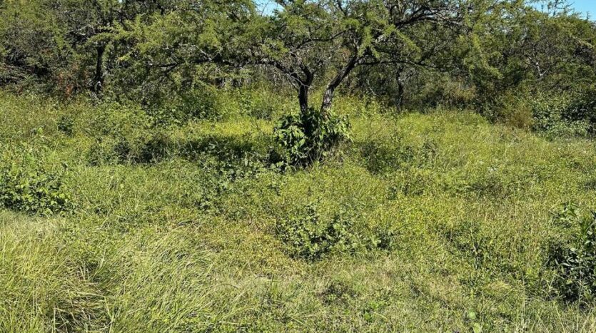 Lotes en venta Calamuchita ruta 5